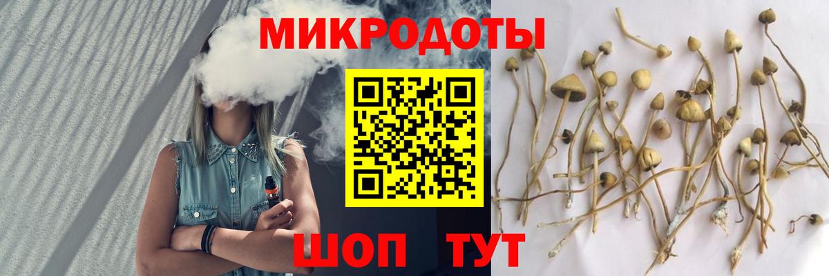 Галлюциногенные грибы мицелий  Вход с VPN  Псилоцибиновые грибы MAGIC MUSHROOMS  Кулебаки 